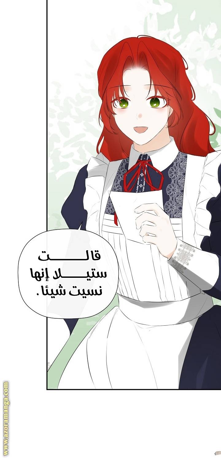 الصفحة 41