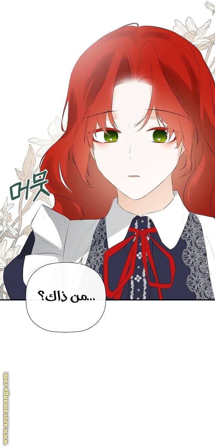 الصفحة 42