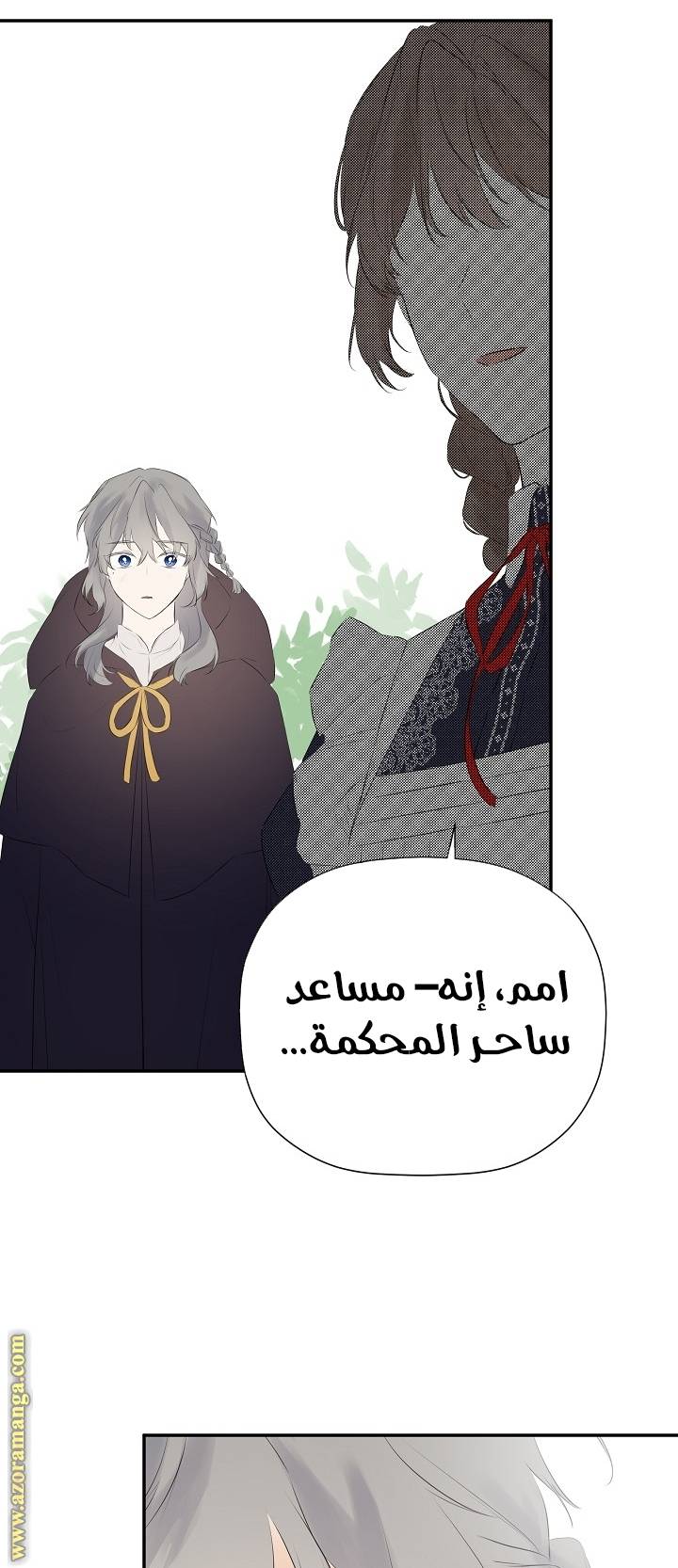 الصفحة 43