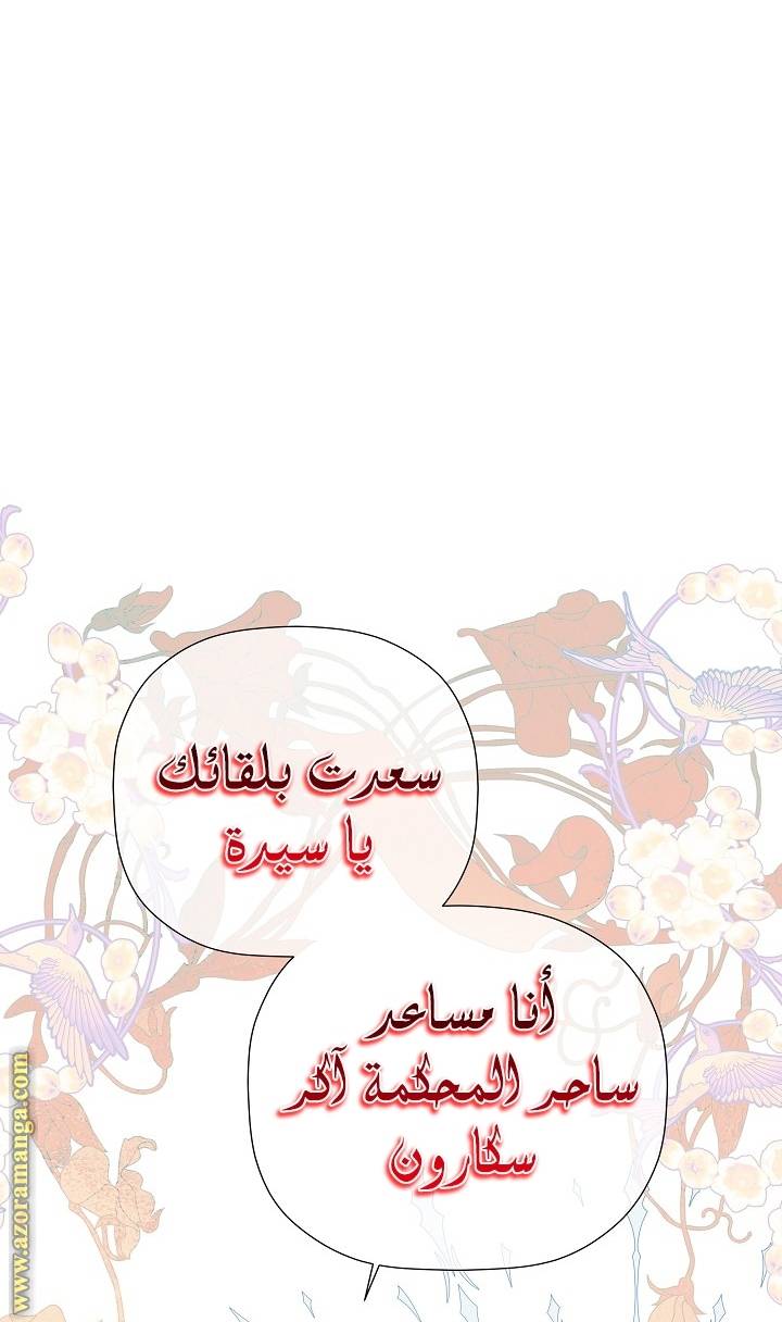 الصفحة 46