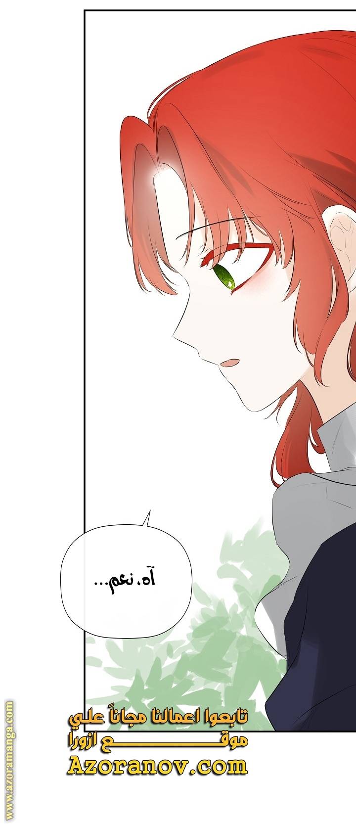 الصفحة 49