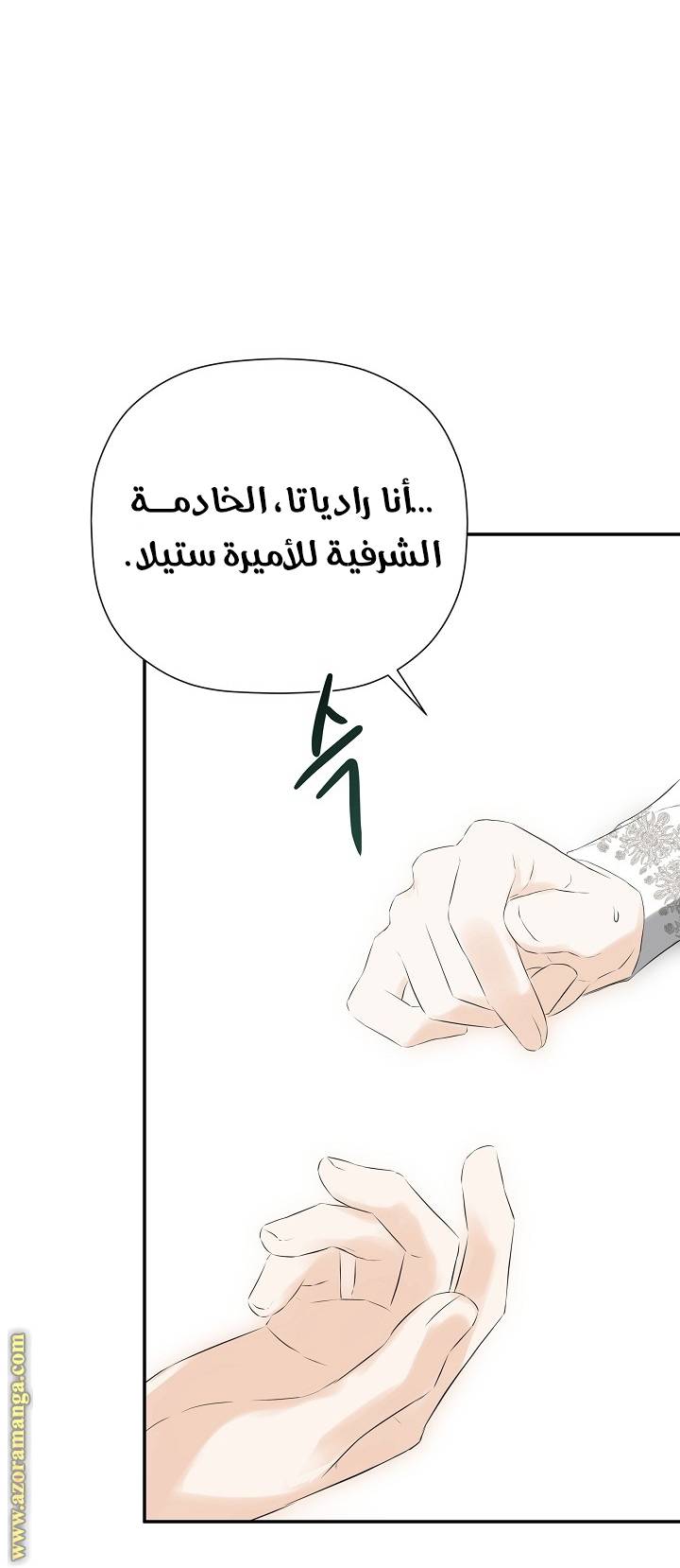 الصفحة 52