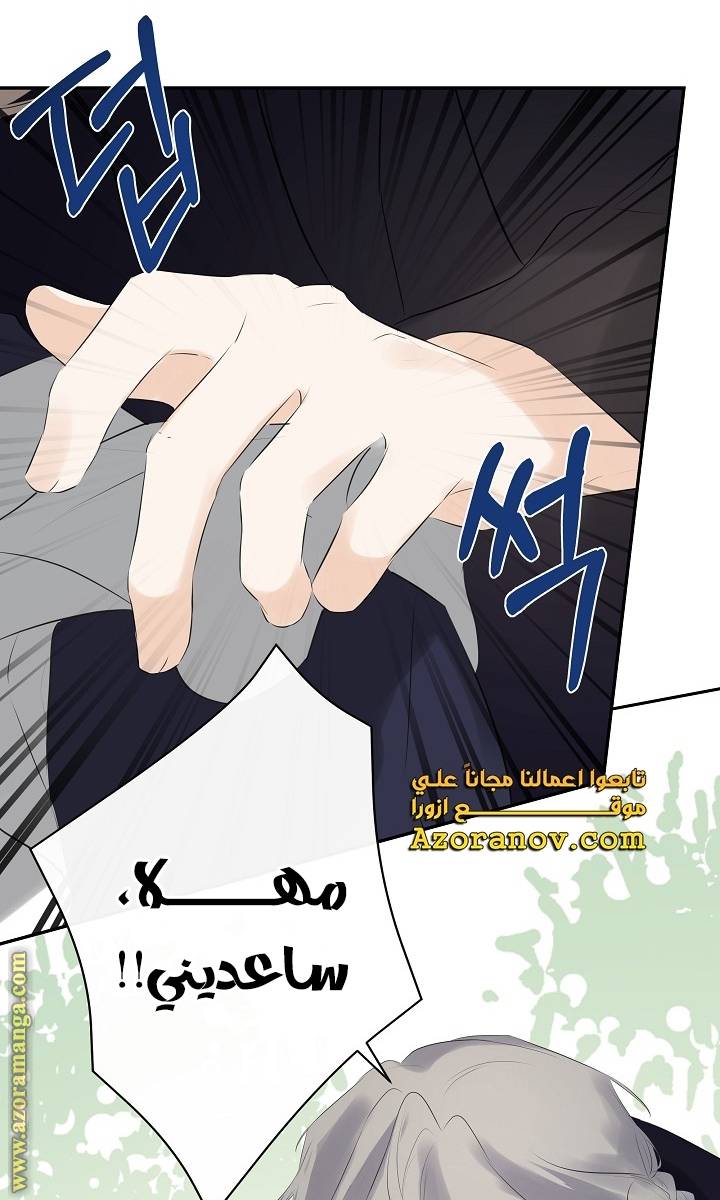 الصفحة 61
