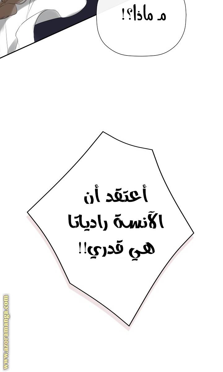 الصفحة 63