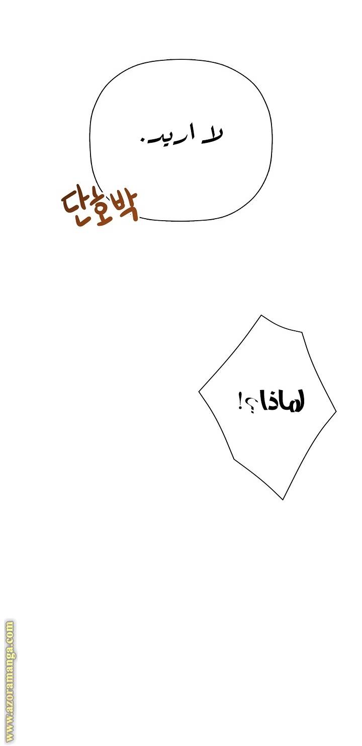 الصفحة 66