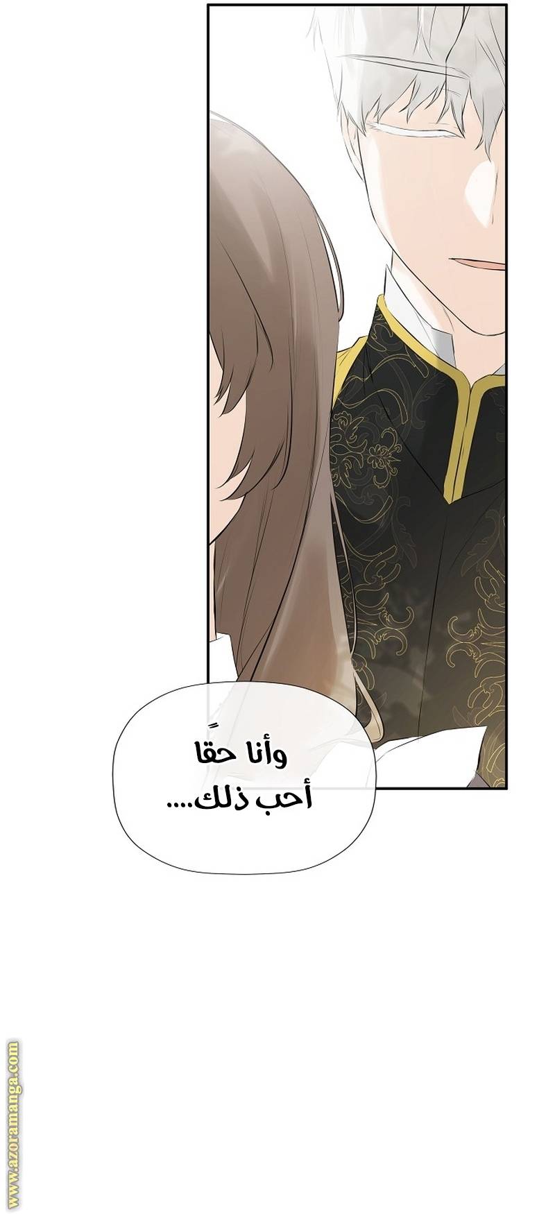 الصفحة 27