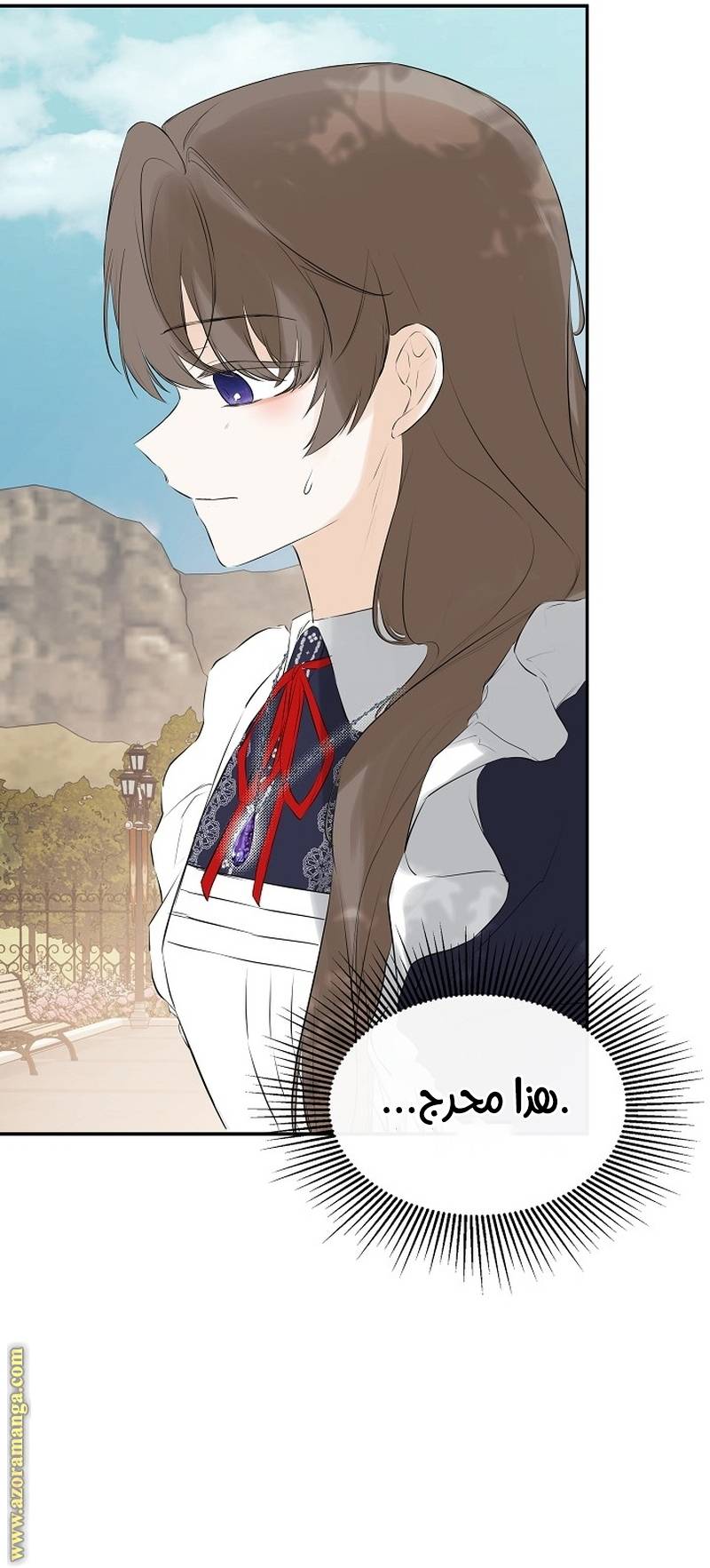 الصفحة 28