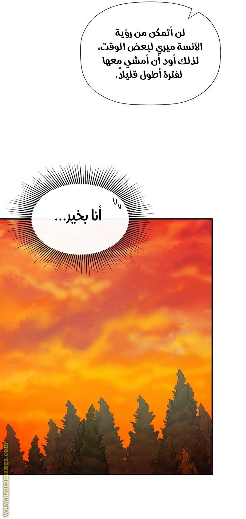 الصفحة 31