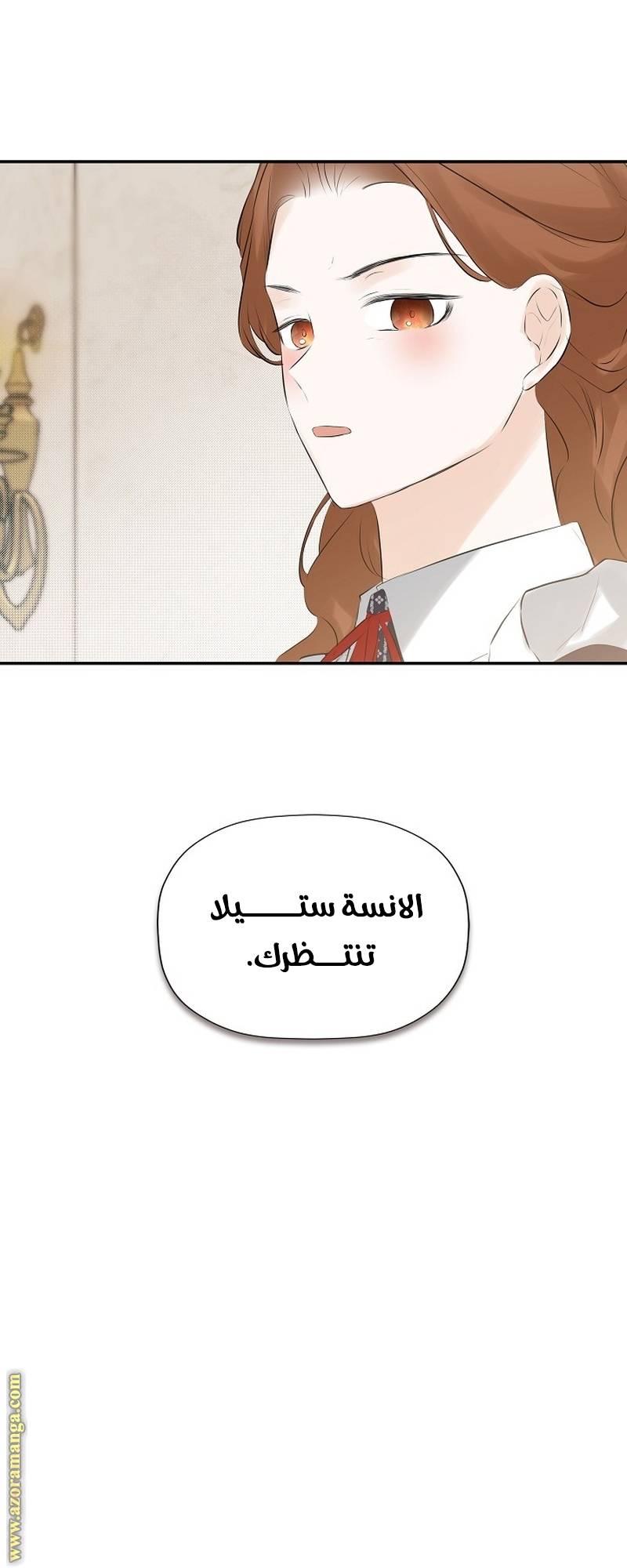 الصفحة 55