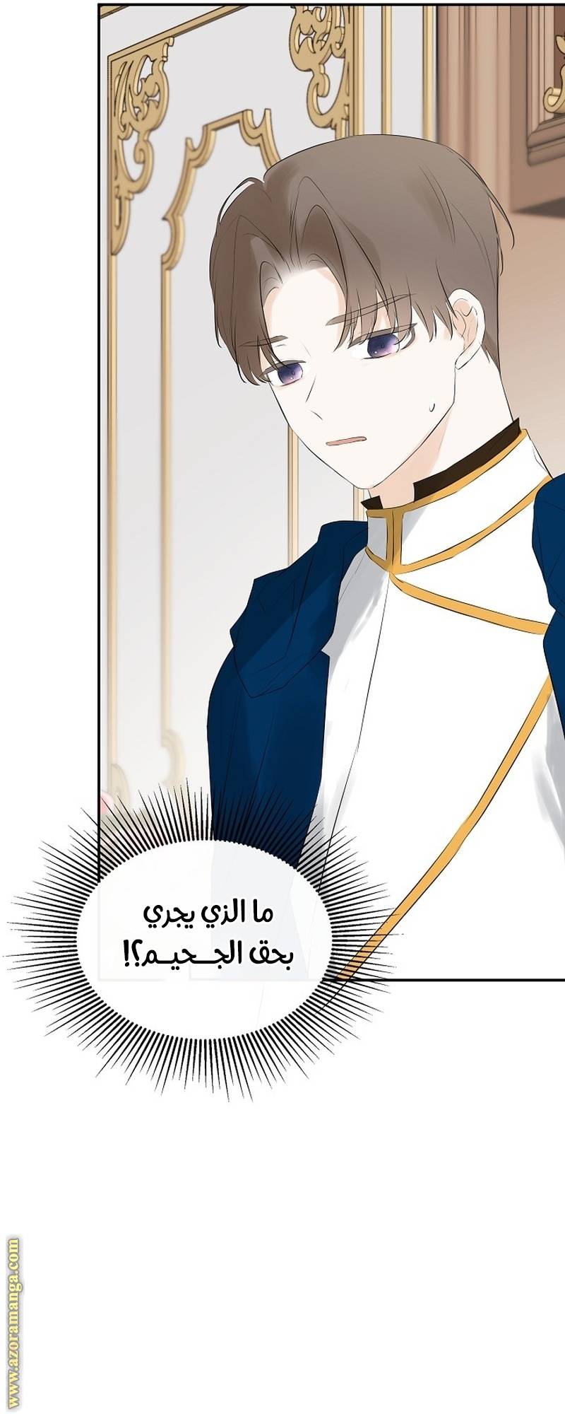 الصفحة 60