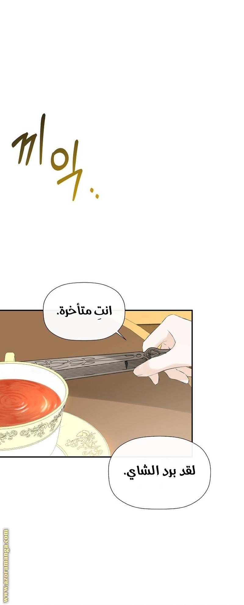 الصفحة 62