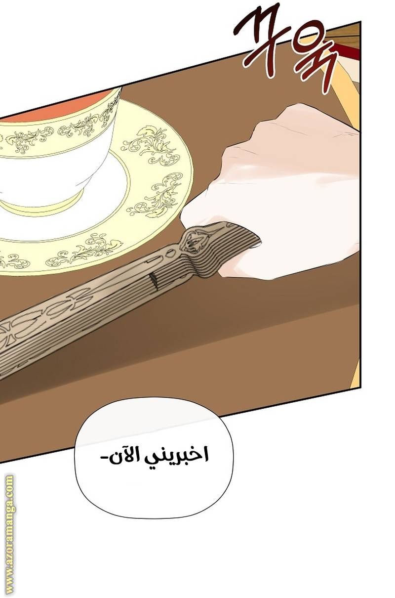 الصفحة 67