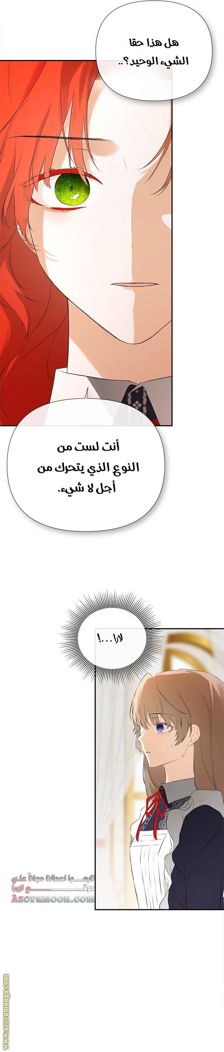 الصفحة 19