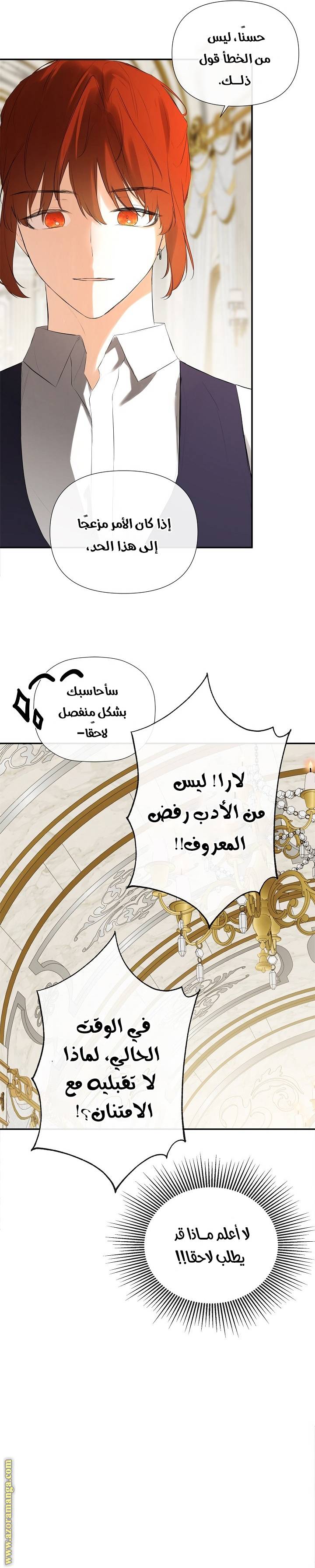الصفحة 20