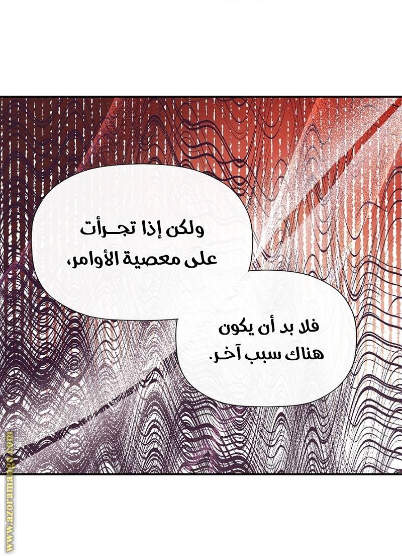 الصفحة 24
