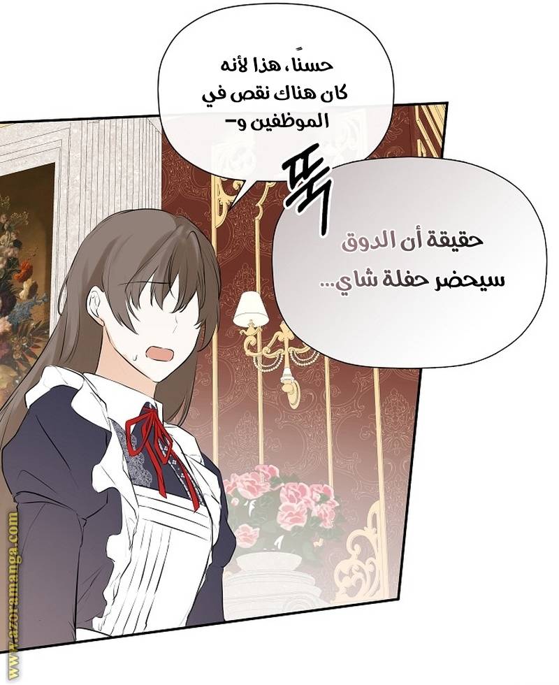 الصفحة 25