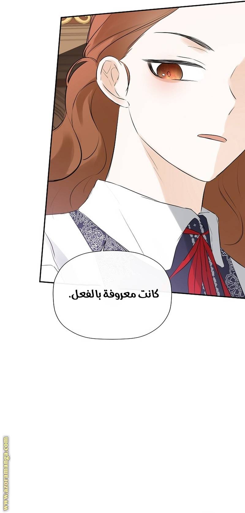 الصفحة 26