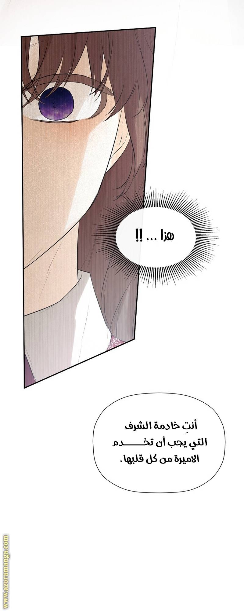 الصفحة 31