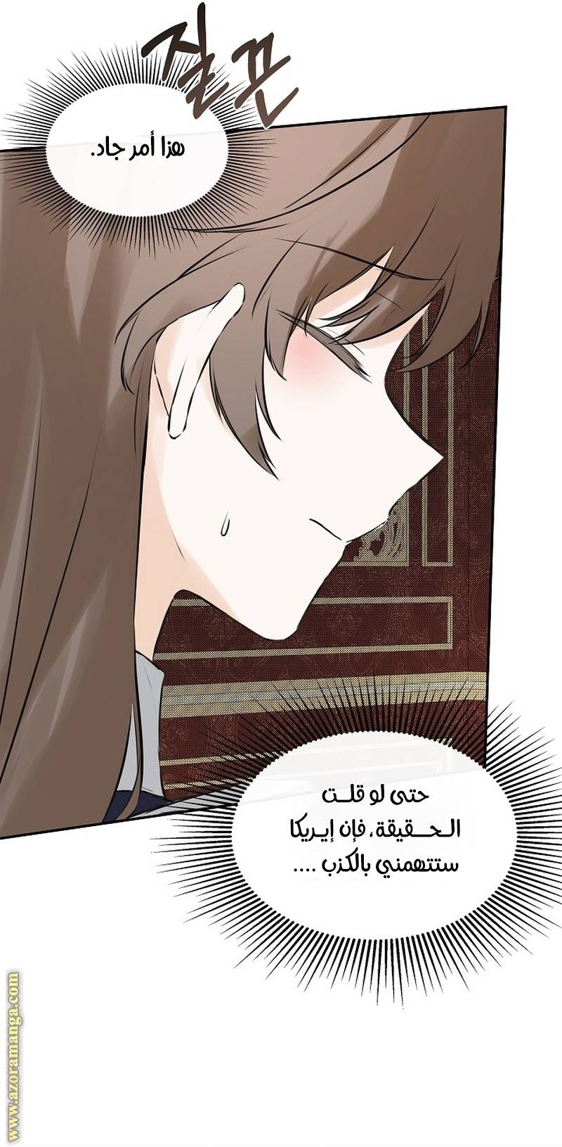 الصفحة 34