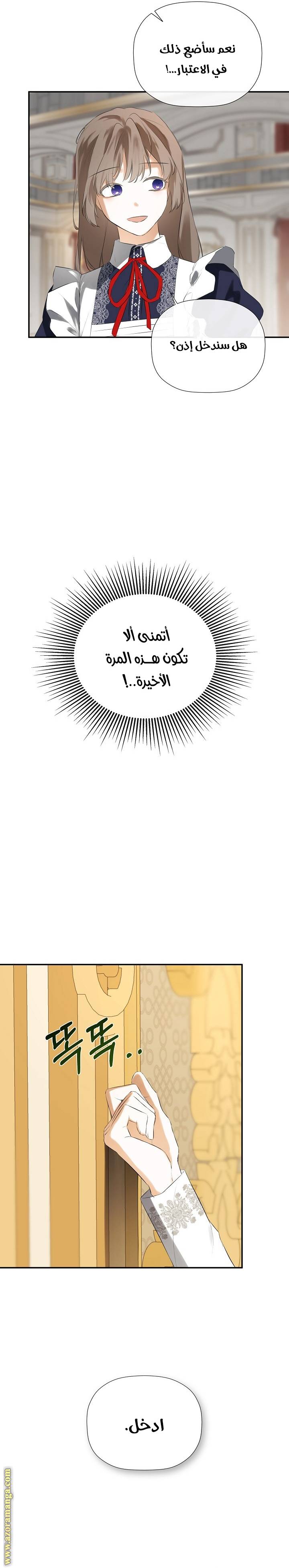 الصفحة 29