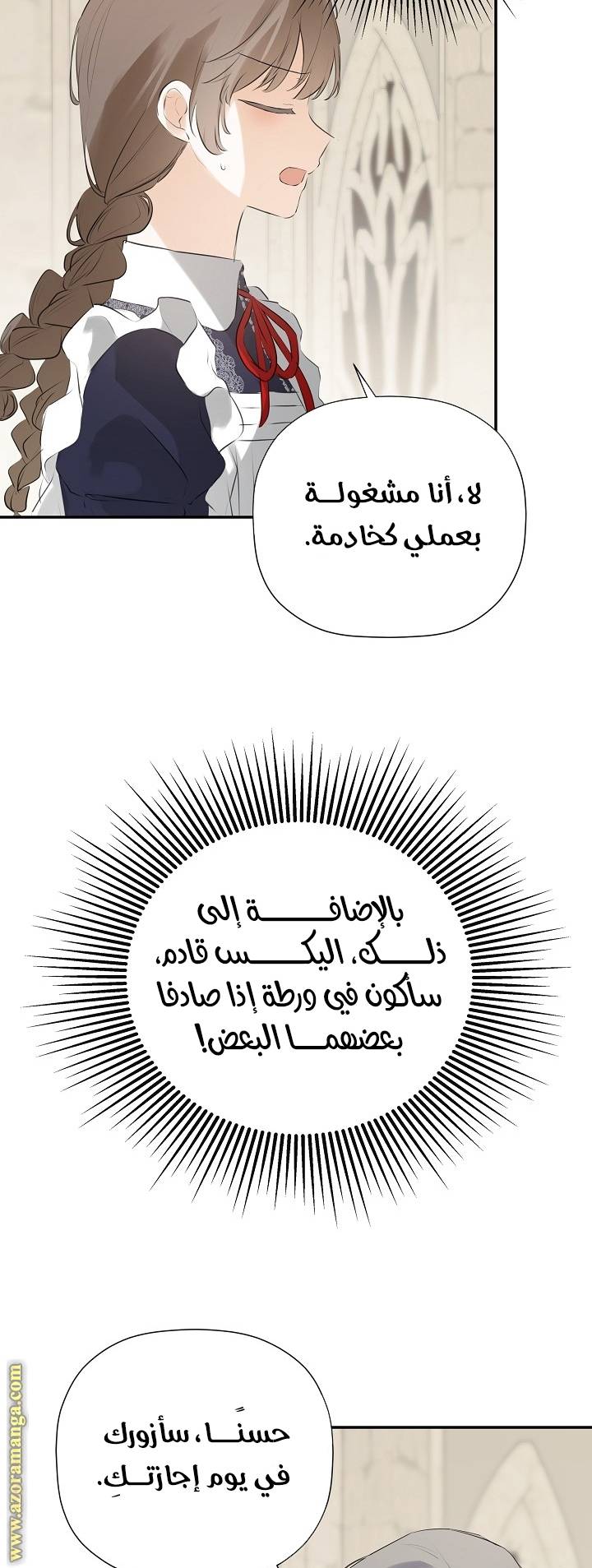 الصفحة 13