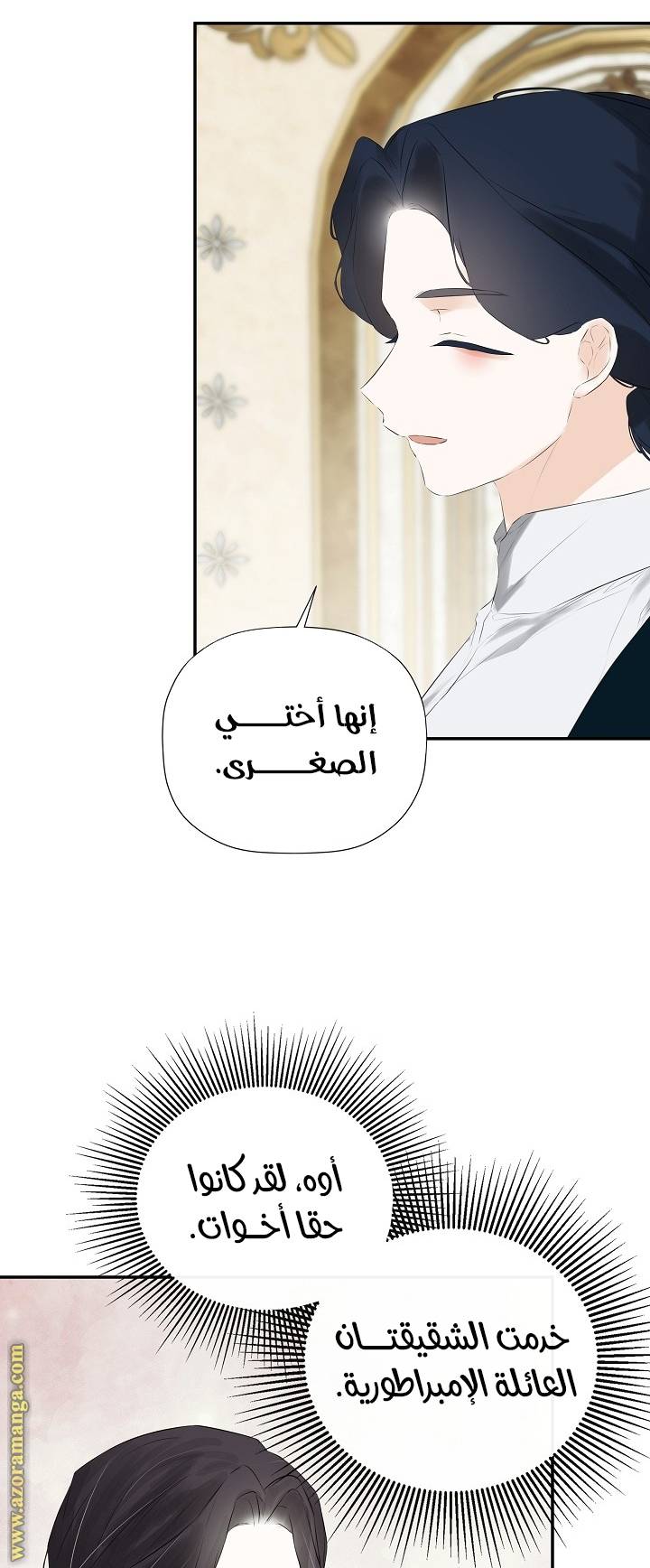 الصفحة 51