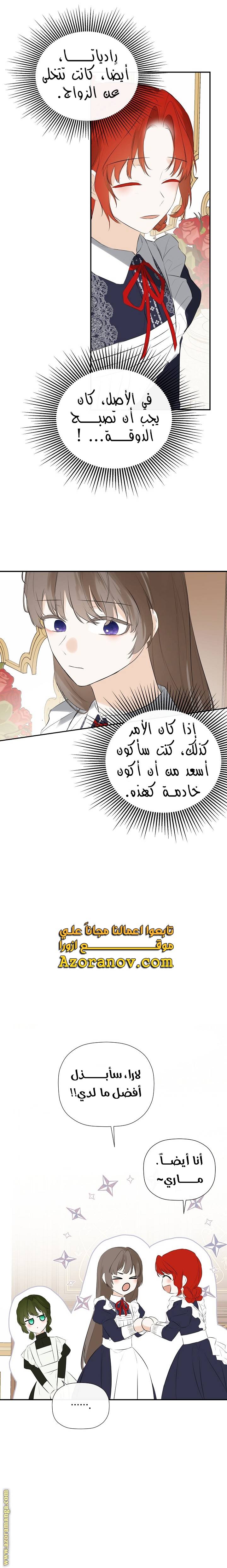 الصفحة 19