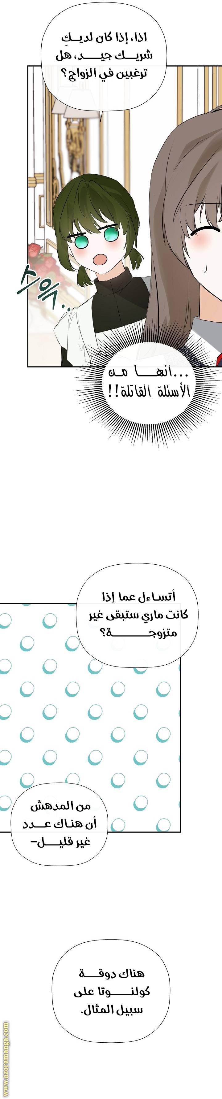 الصفحة 20