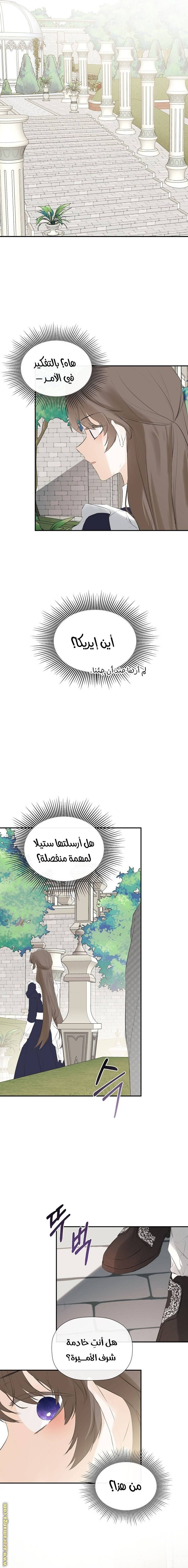 الصفحة 17
