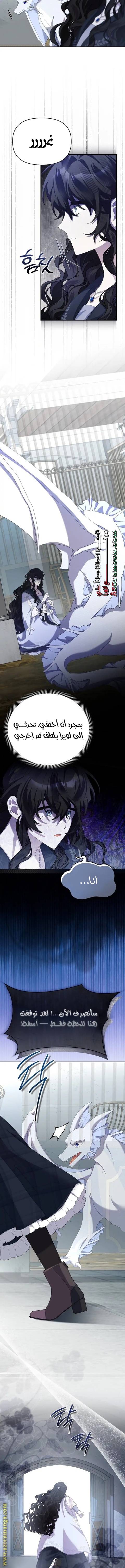 الصفحة 11