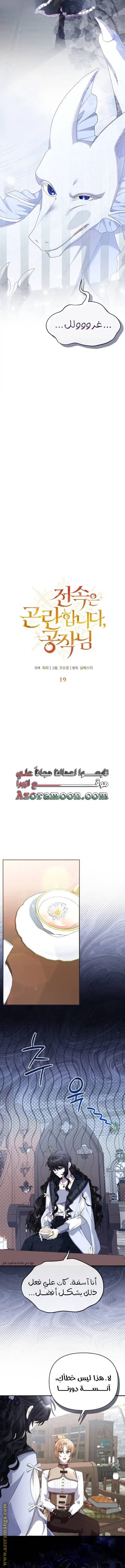 الصفحة 12