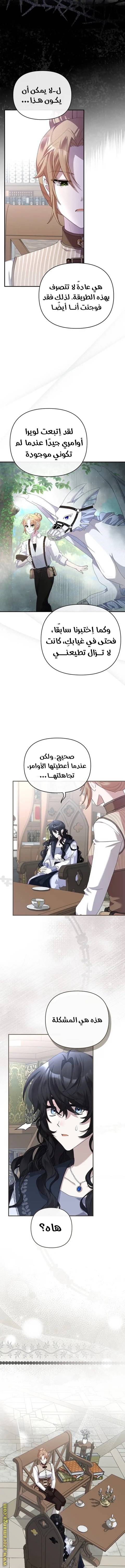 الصفحة 14