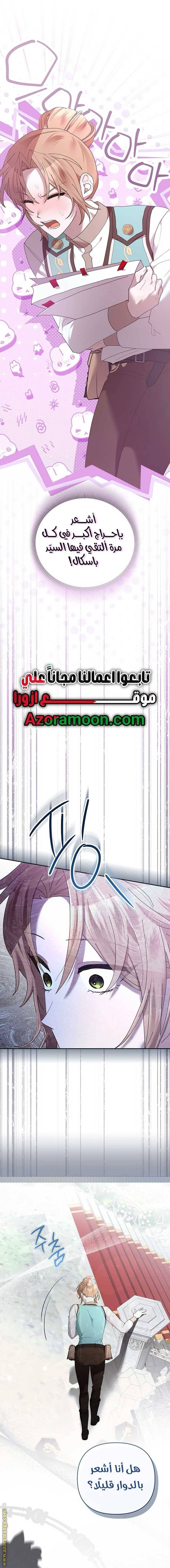 الصفحة 13