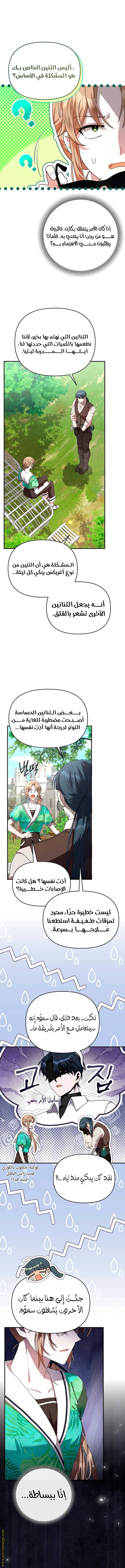 الصفحة 8