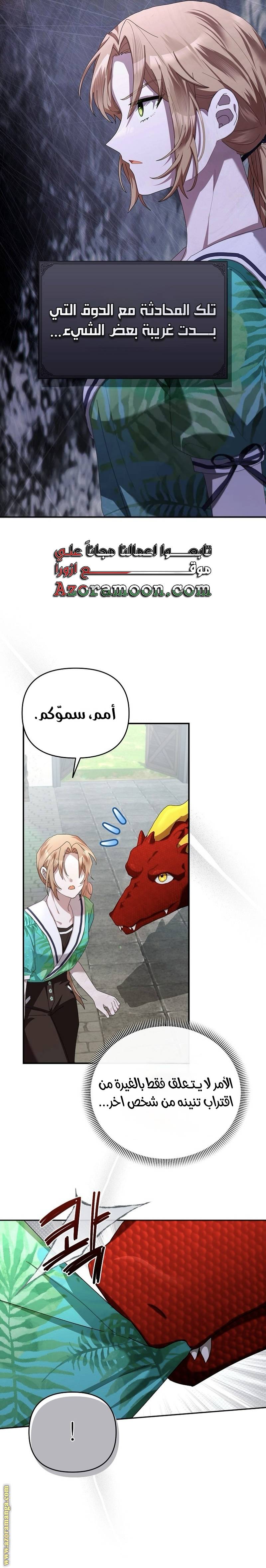 الصفحة 14