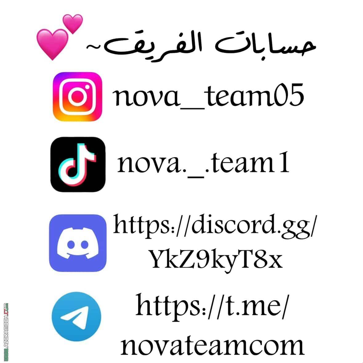 الصفحة 12