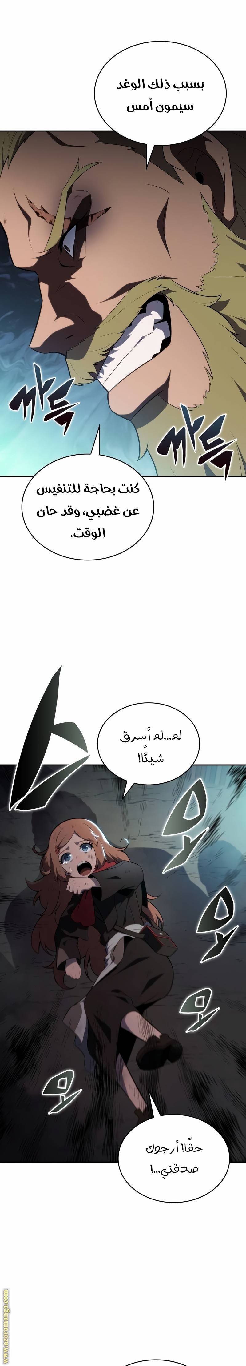 الصفحة 13