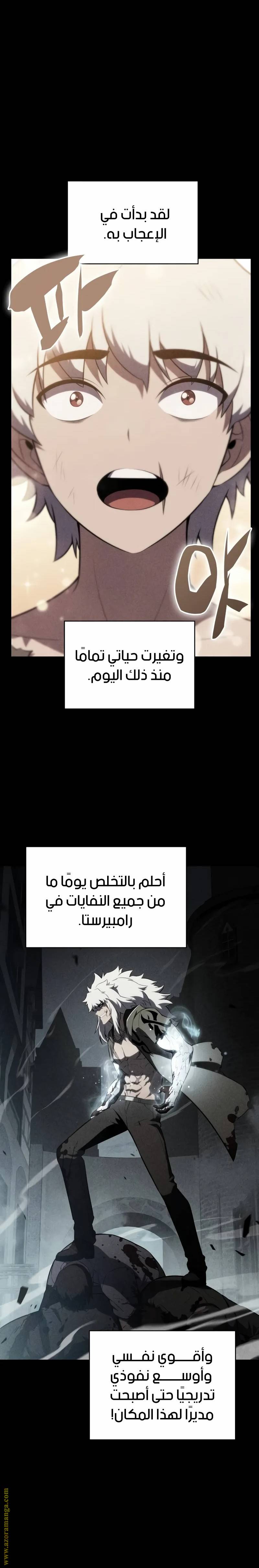 الصفحة 13