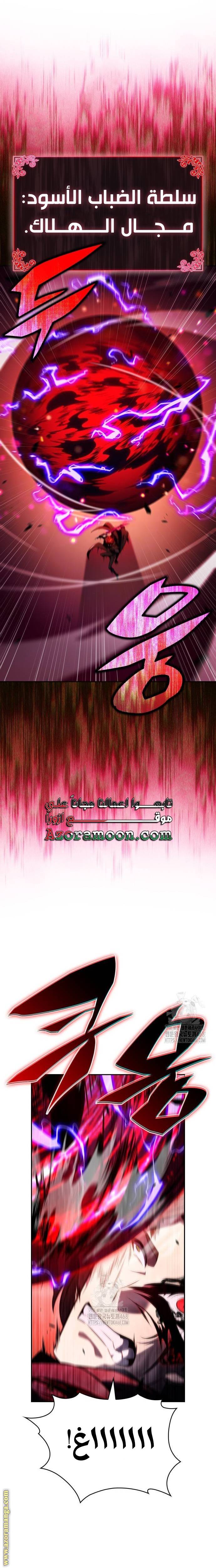 الصفحة 17