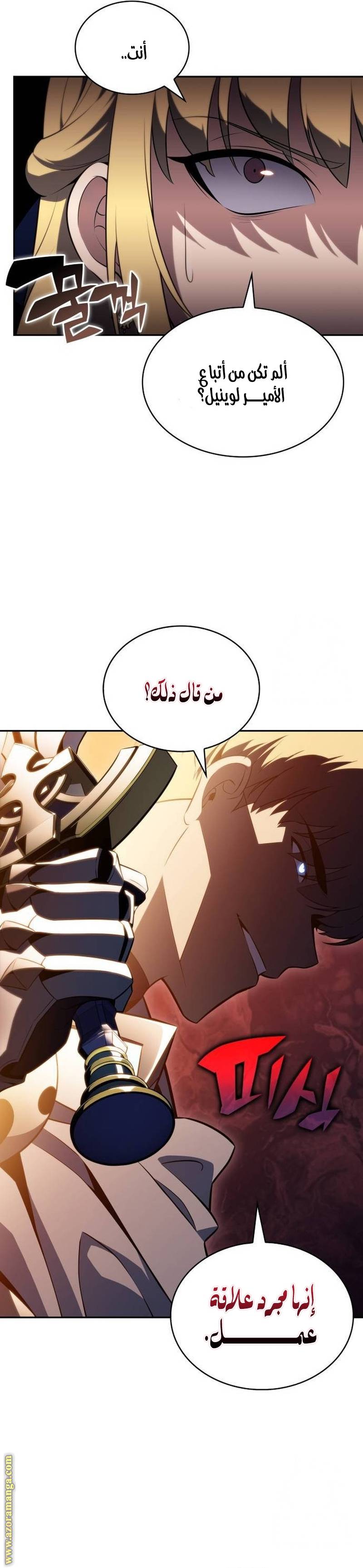 الصفحة 13