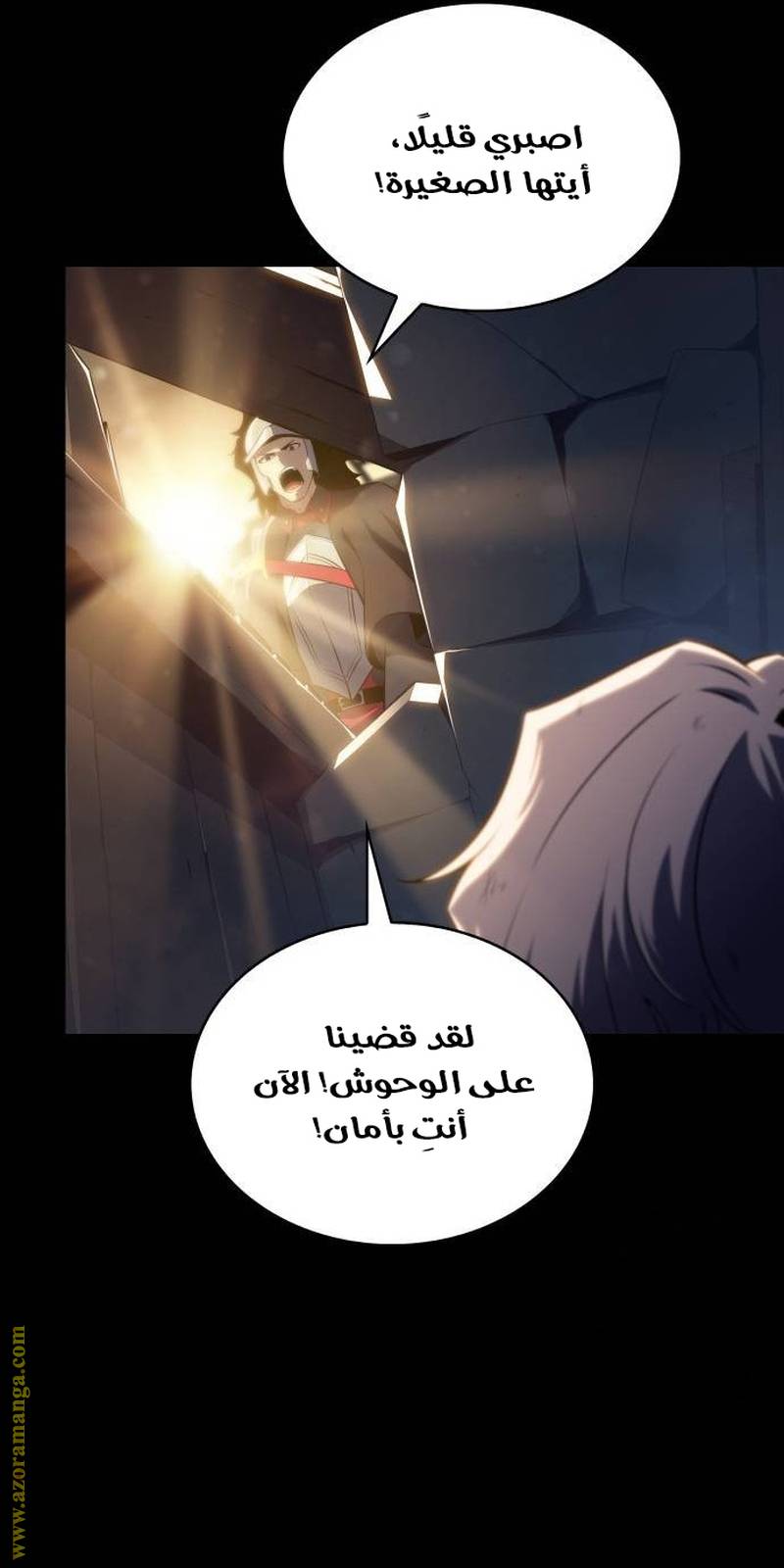 الصفحة 46