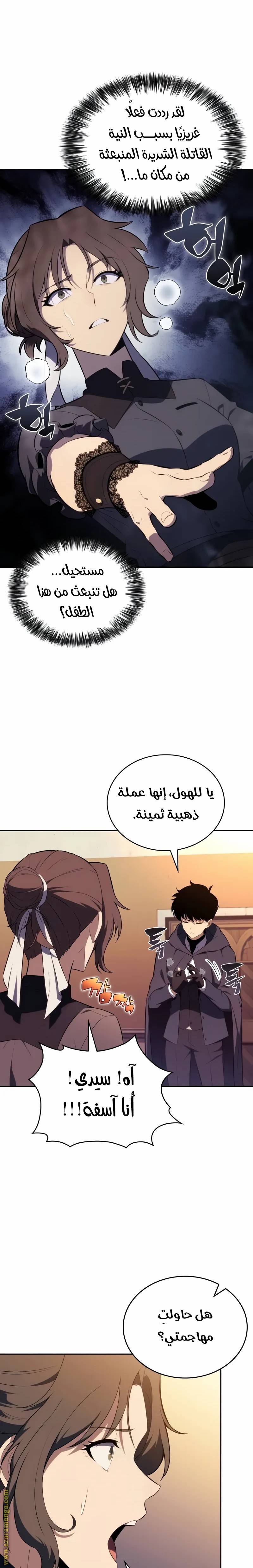 الصفحة 13