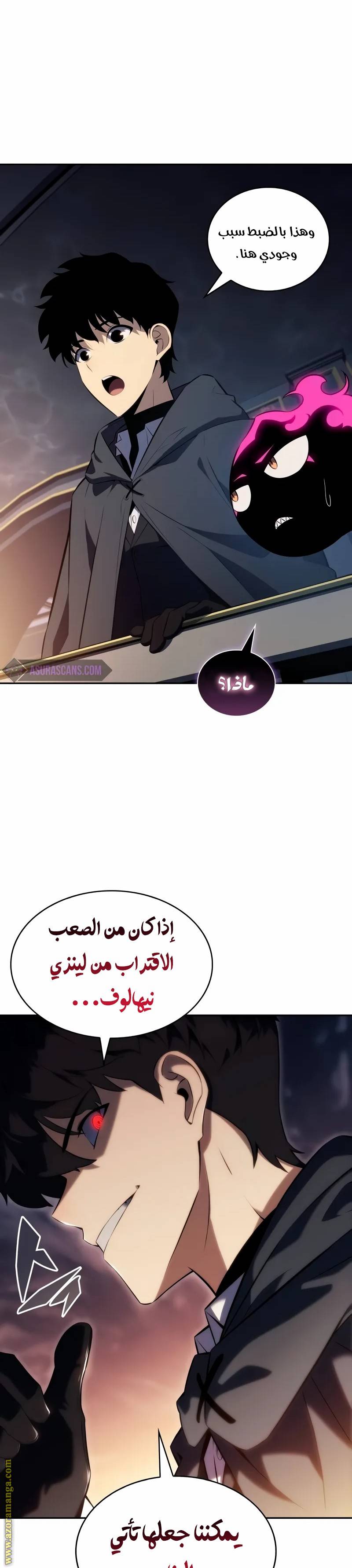 الصفحة 27