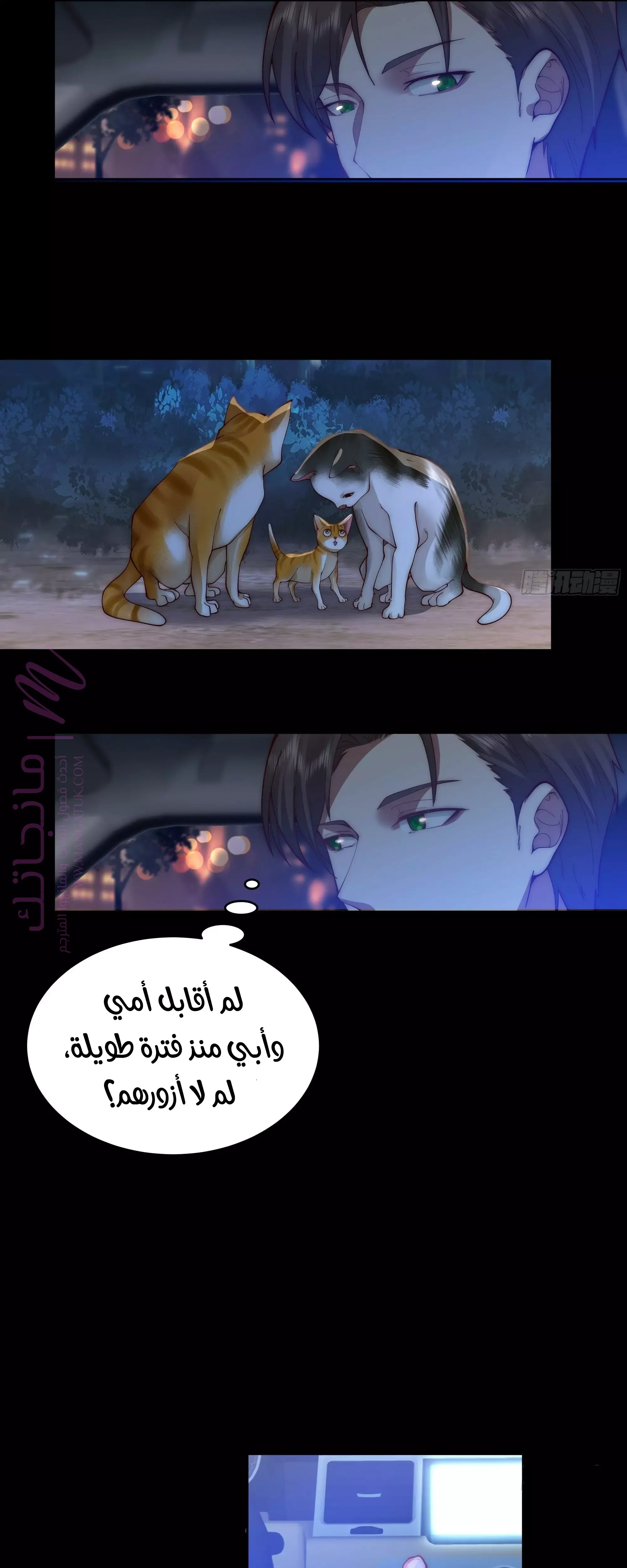 الصفحة 16