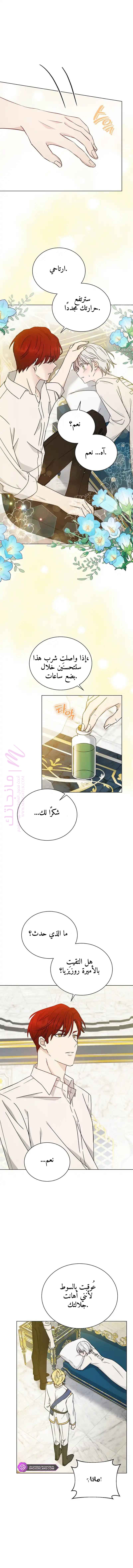 الصفحة 6