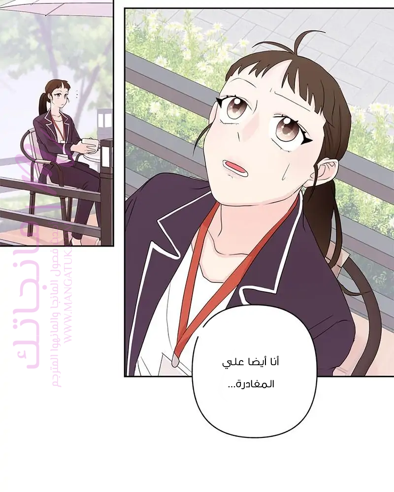 الصفحة 41