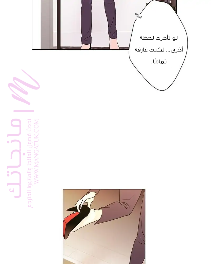 الصفحة 47