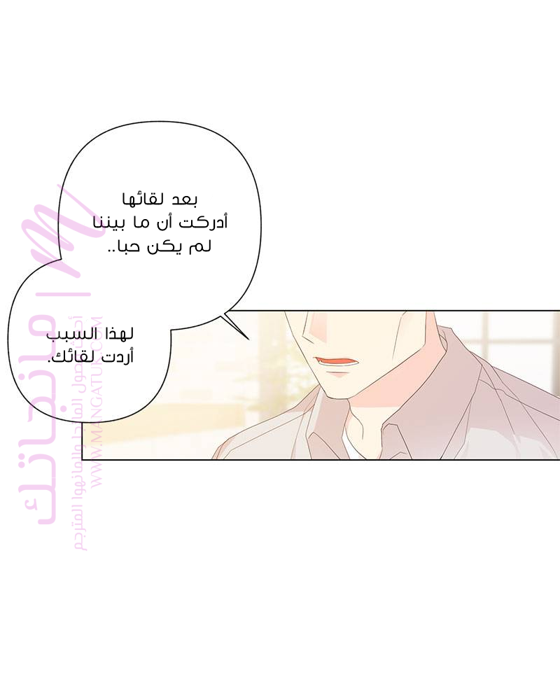 الصفحة 20