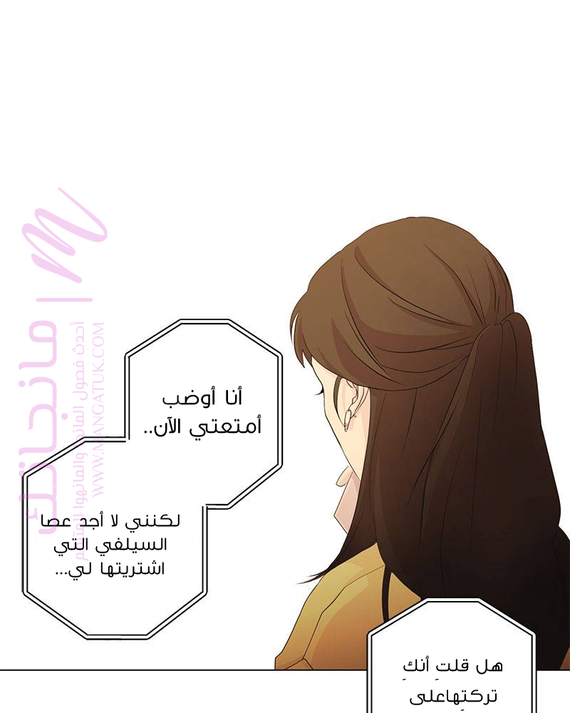 الصفحة 29