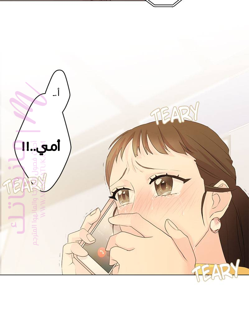 الصفحة 31